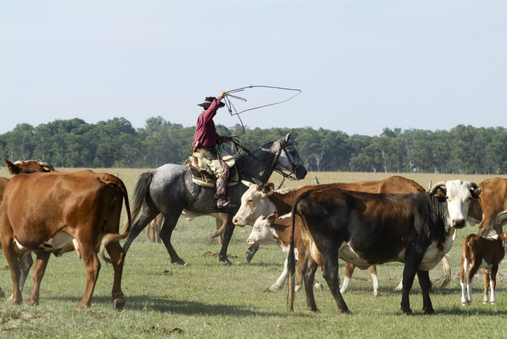 Turismo Rural