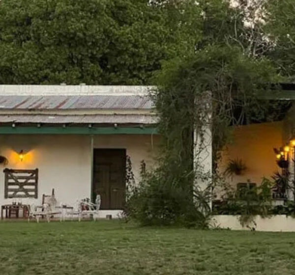 buena-vista