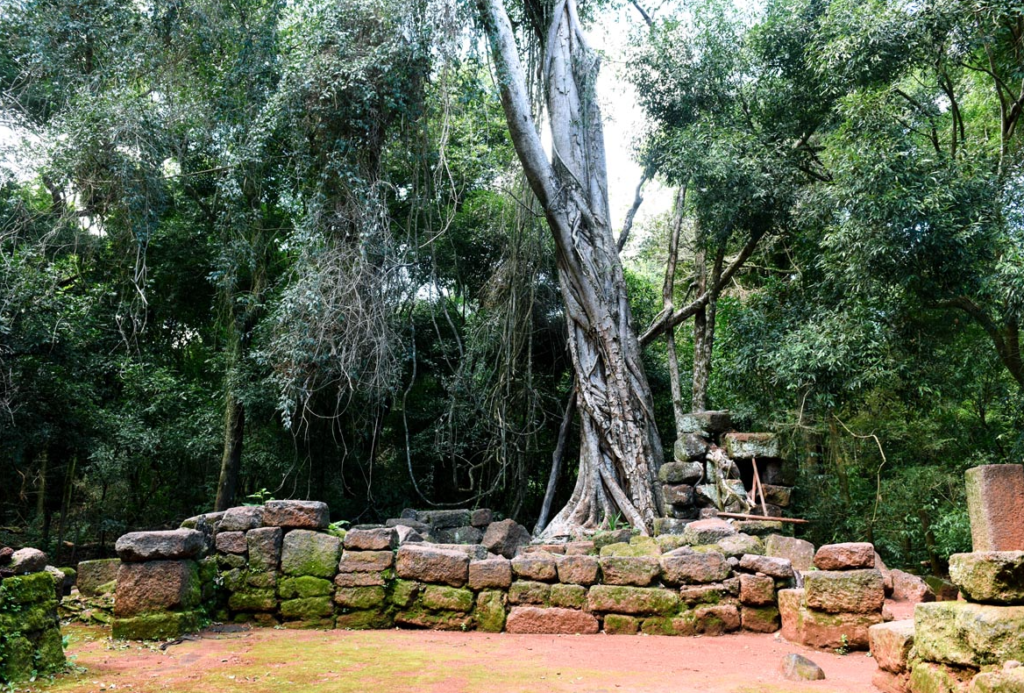 Capilla Jesuítica Guaraní San Alonso