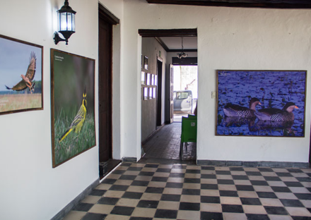Galería de imágenes en miniatura